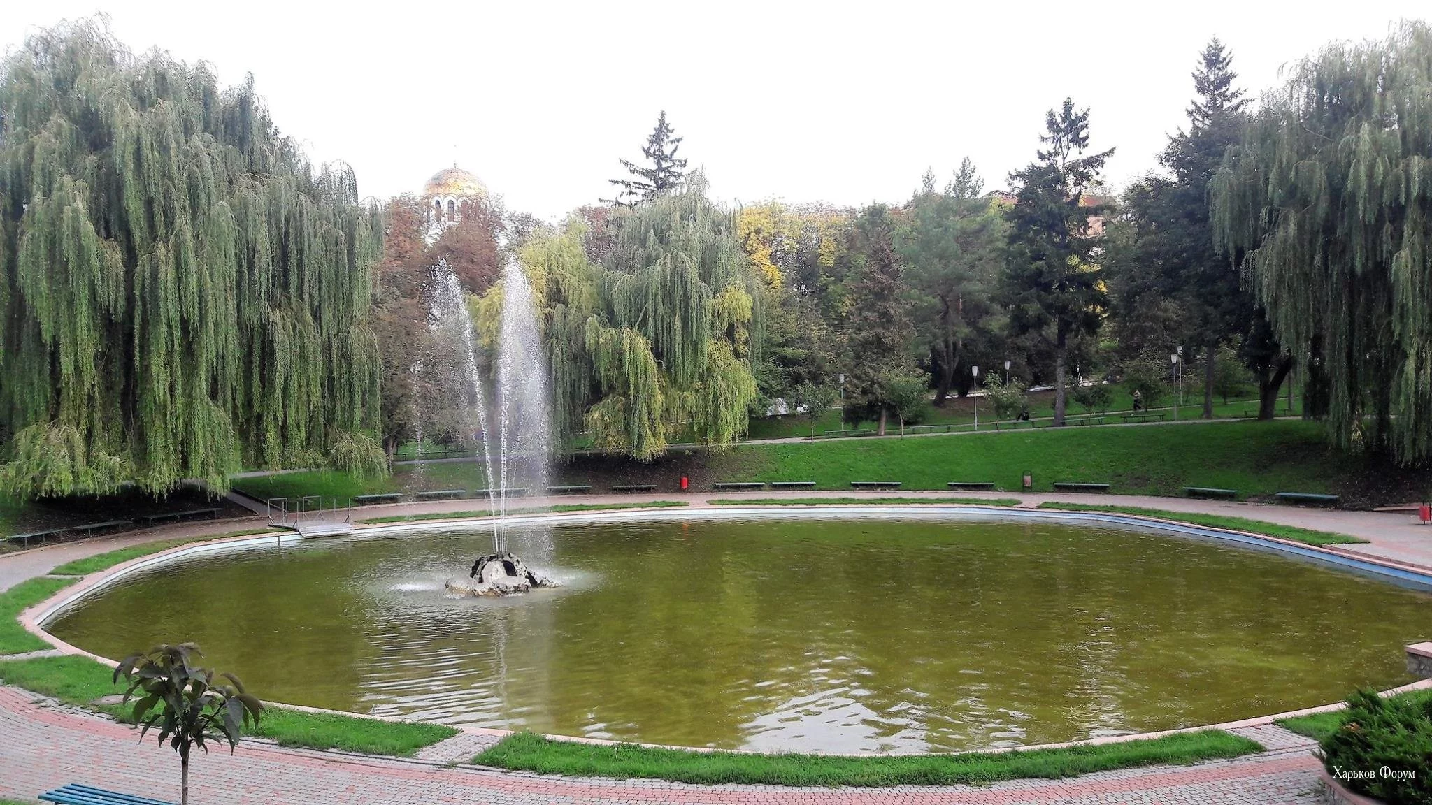 de73f32569e4f0f30.webp