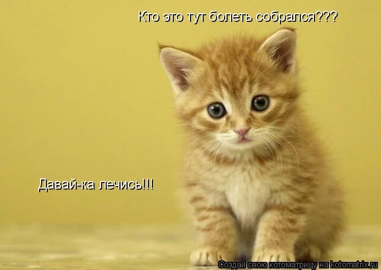 de7caa.webp