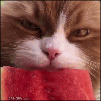 de7eej.gif