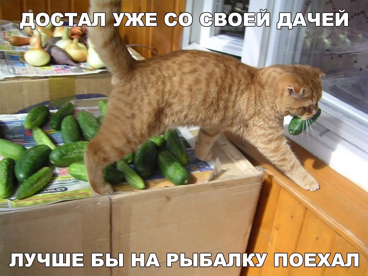 de8gee.webp