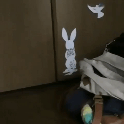 de926e25dbd3108452b673d36511219787fec055.gif