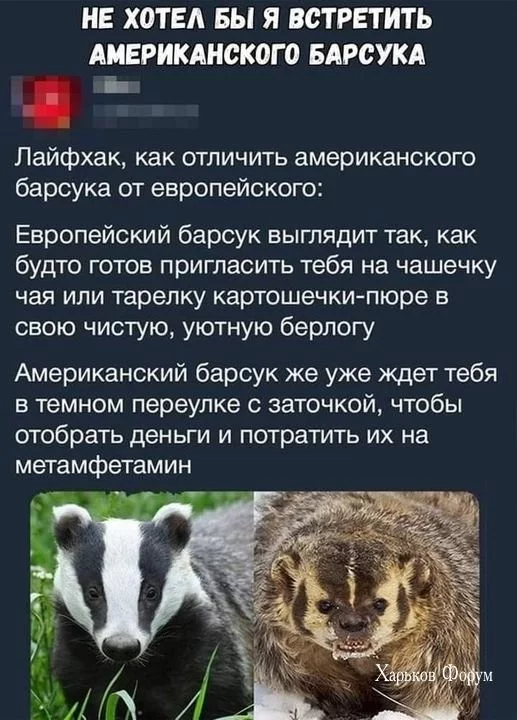 dea5a3423534888ada4e56.webp
