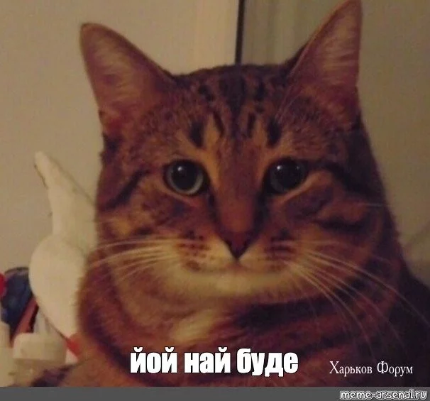 deb6bd3cac348873a7726bed.webp