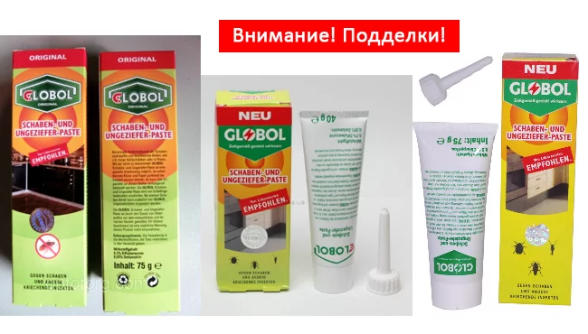 deb6hj.webp