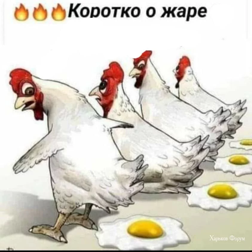 debbd13cb27edb844448d90b.webp