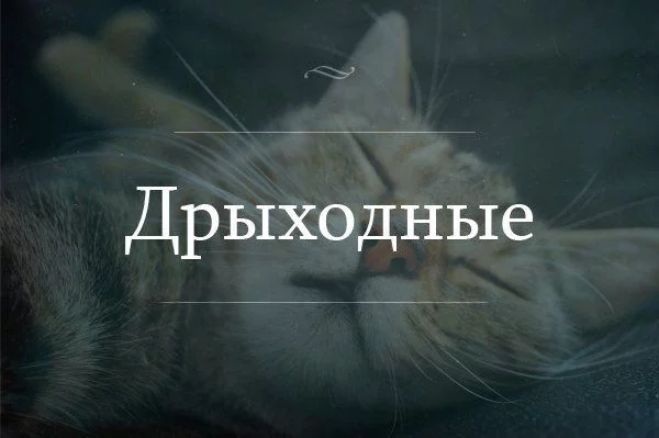 debc0f.webp