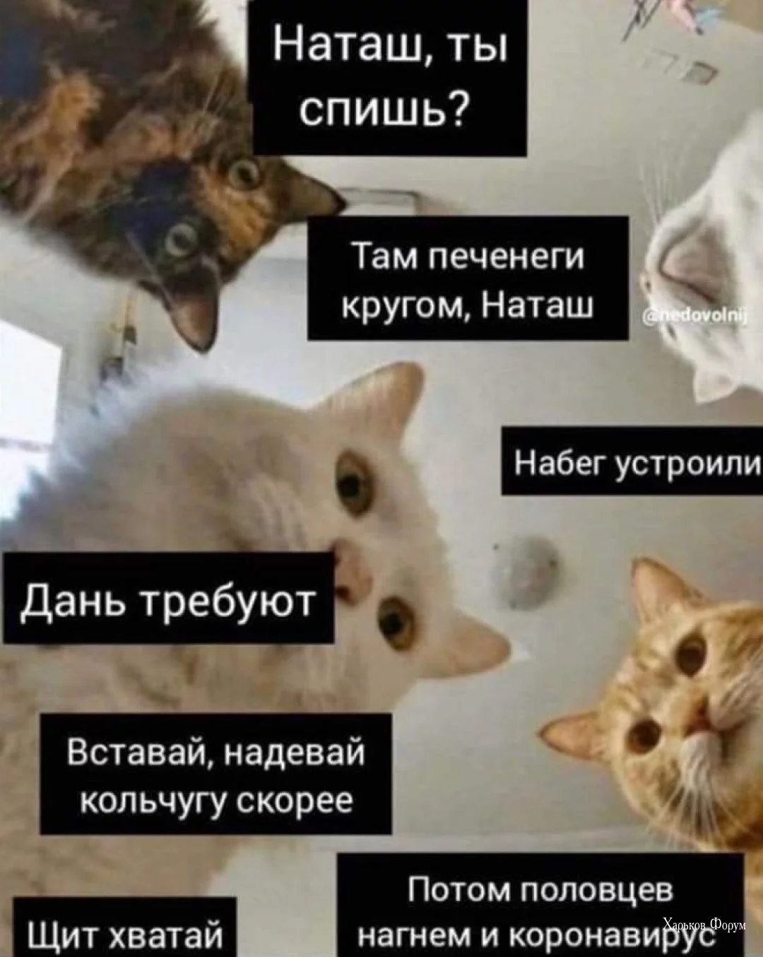 ded133478700a7b986f4e7.webp