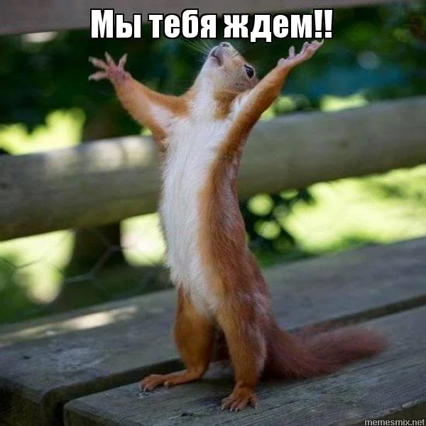 dedh0e.webp