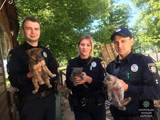 dee3df.webp
