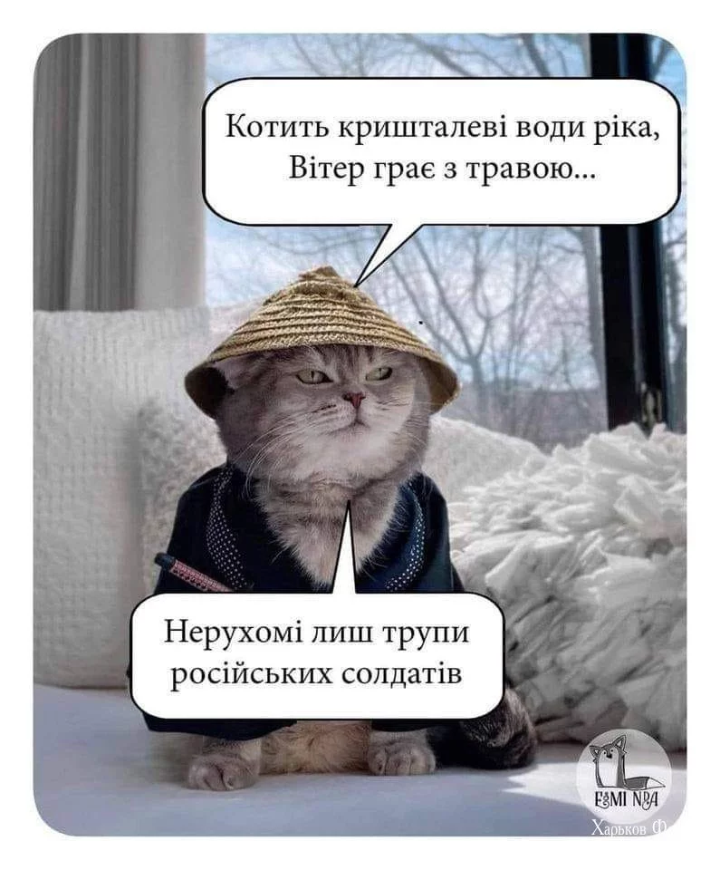 dee745ea0256253770e6.webp