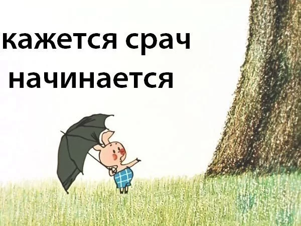 dee965ae4cd535263ec386d29fb8379b.webp