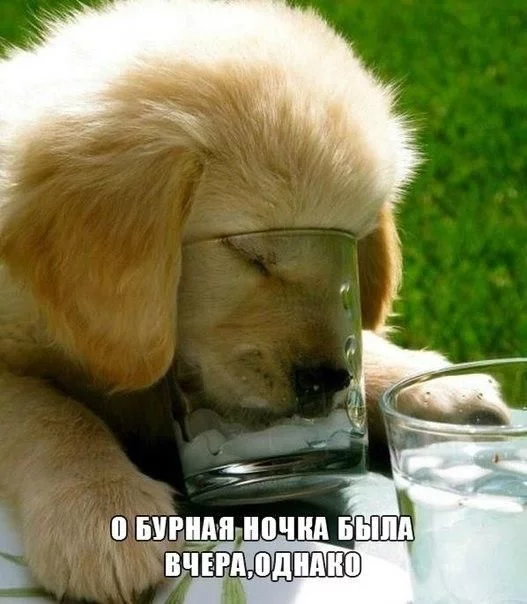 def0bj.webp