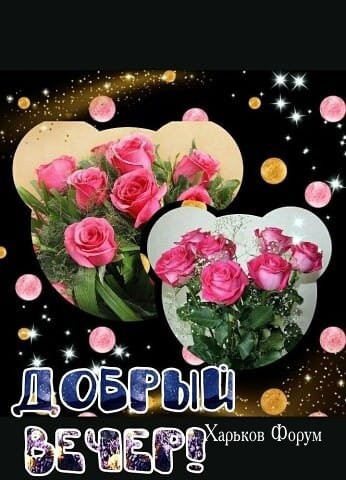 def461fa24b0fe5bd85e.jpg