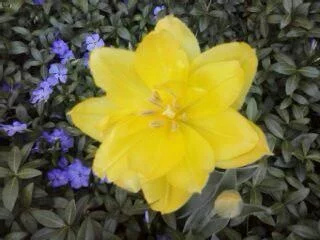 dej5ga.webp