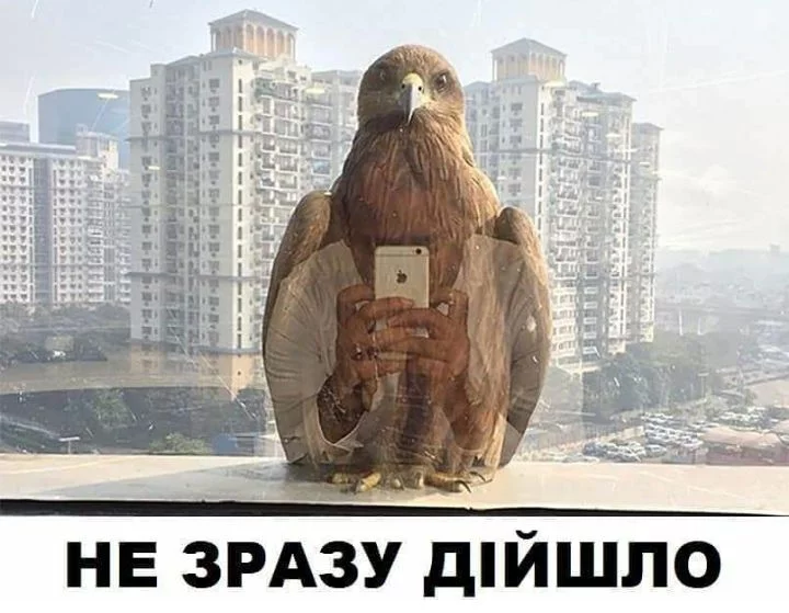 dejcg4.webp