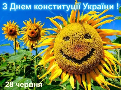 dejd6c.webp