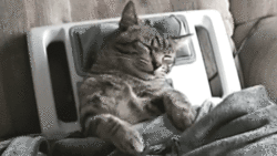 dejg4j.gif