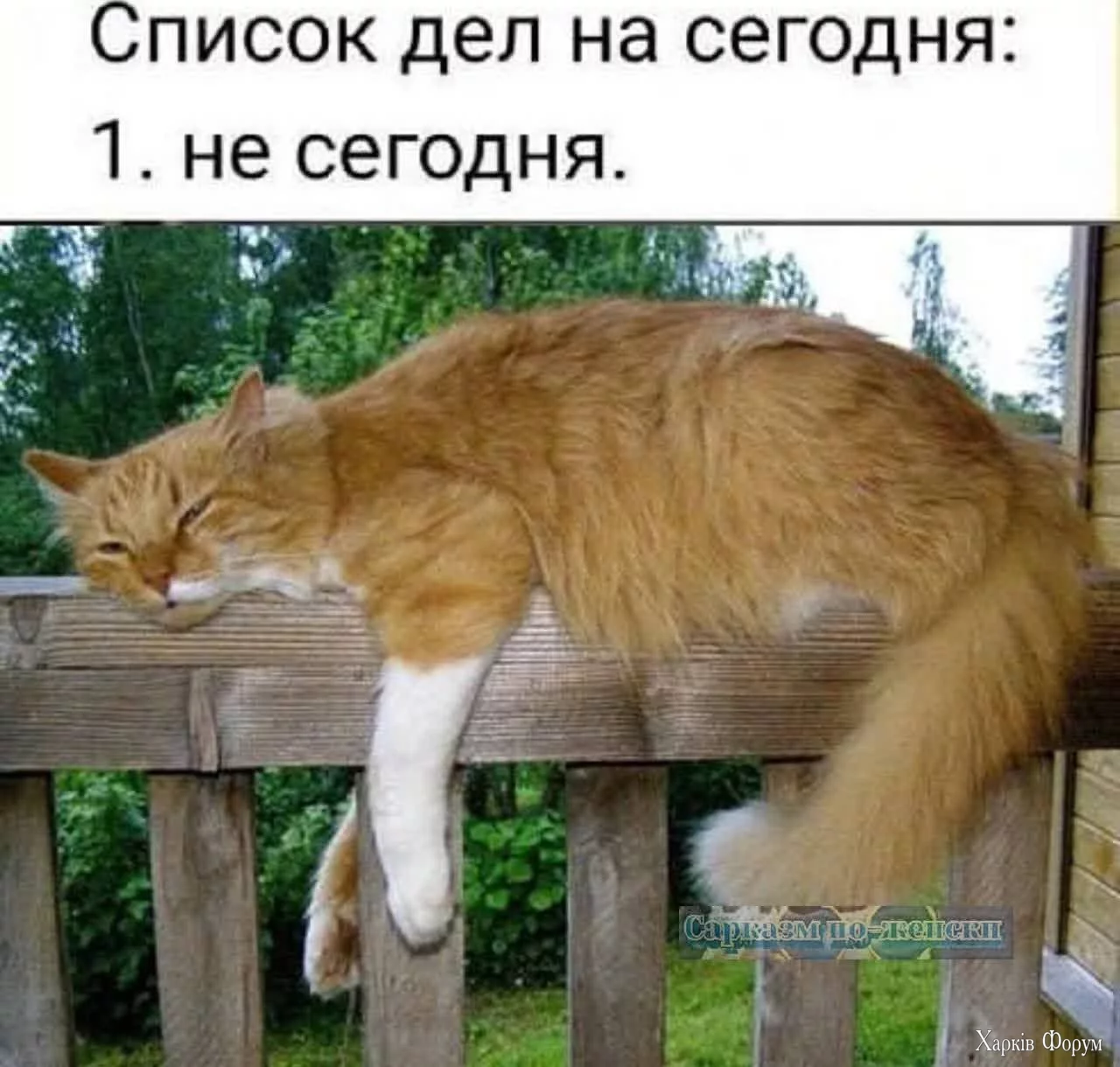  дел.webp