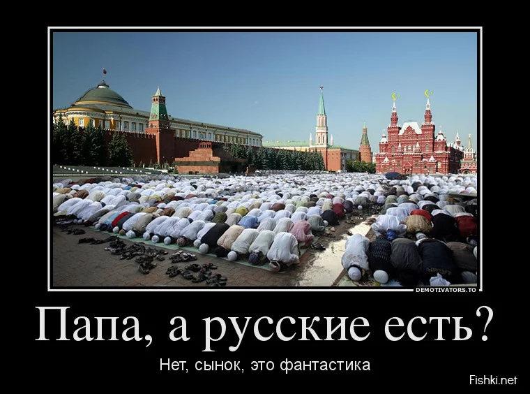 dem-0006.webp