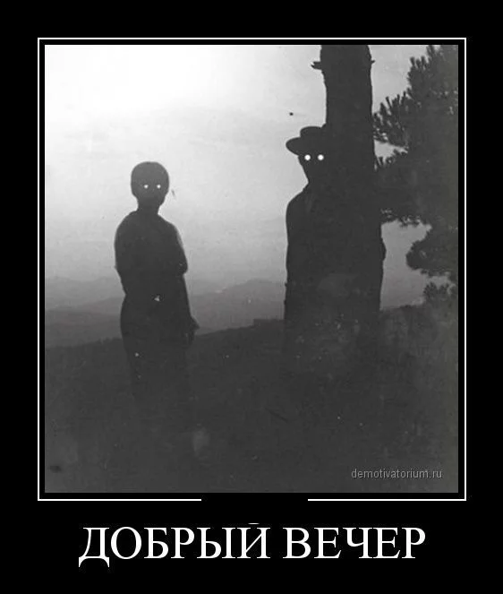 dem-0013.webp