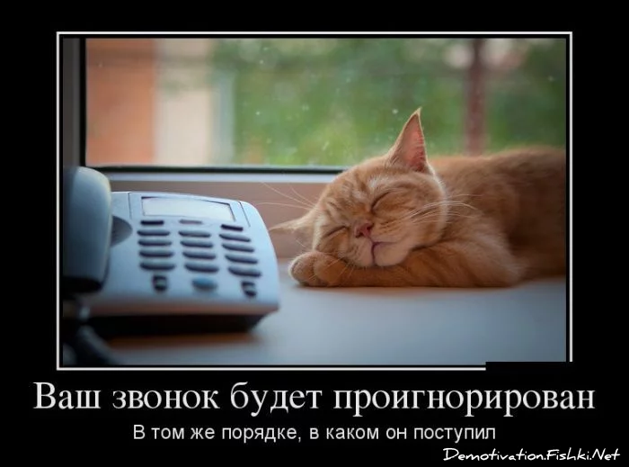dem-0021.webp