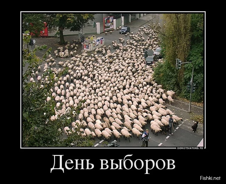 dem-0034.webp