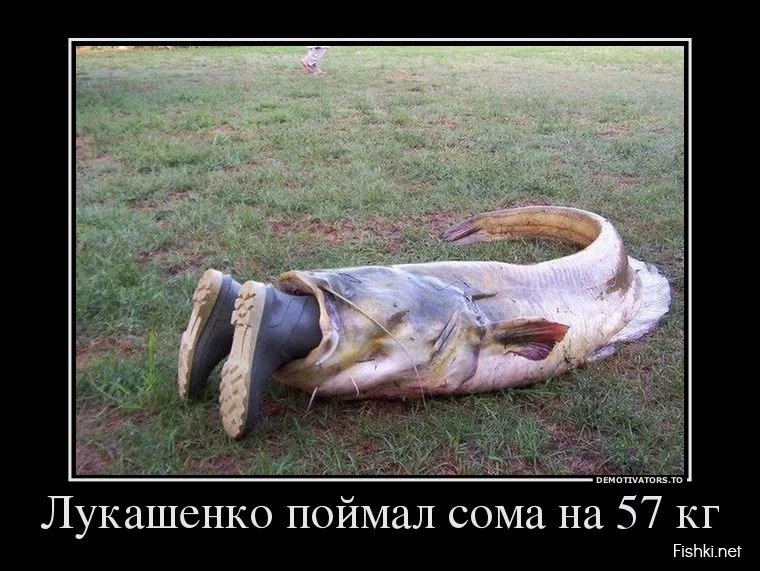 dem024.webp