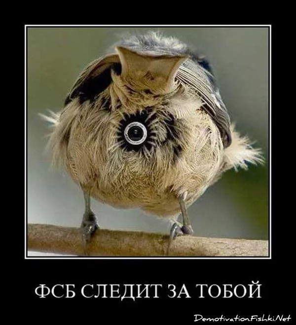 dem_022.webp