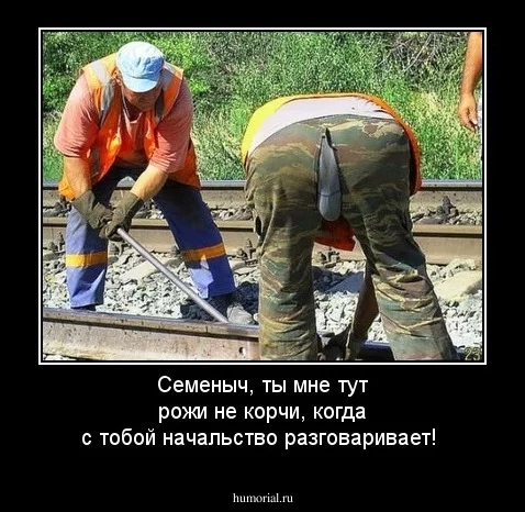 dem_208885.webp