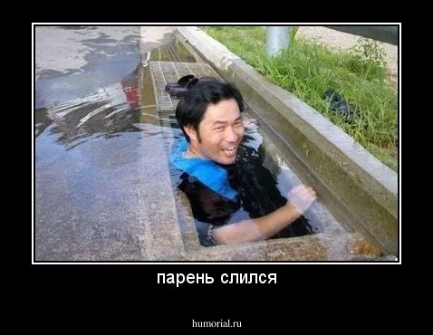 dem_35811.webp