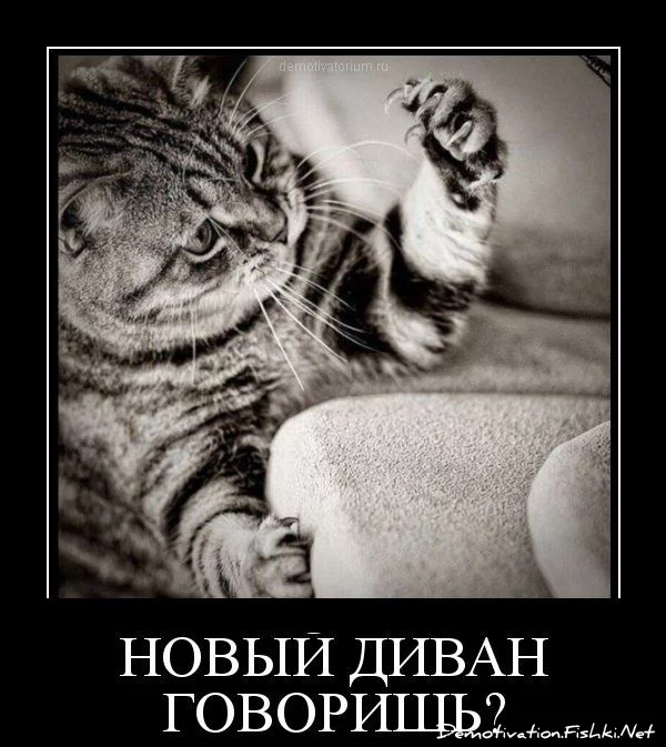 demotivator-0081.webp