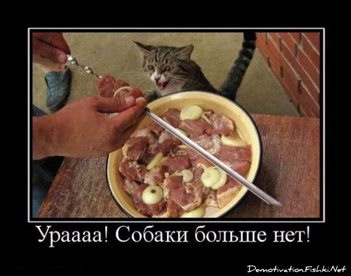 demotivator039.webp