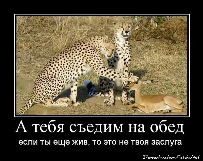 demotivator049.webp