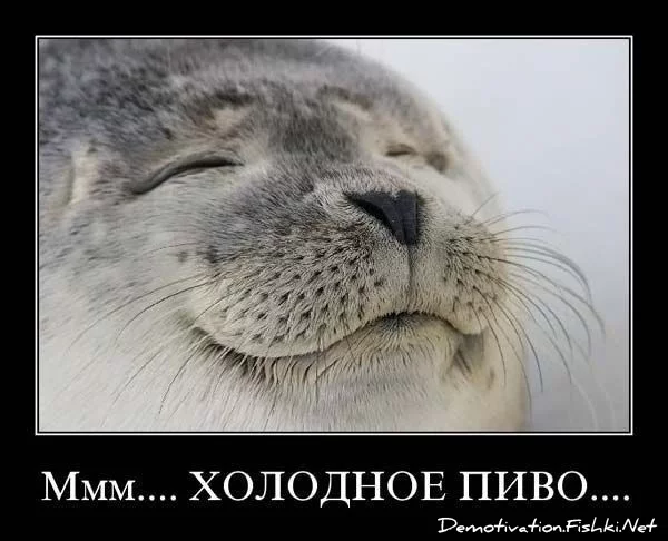 demotivator138.webp