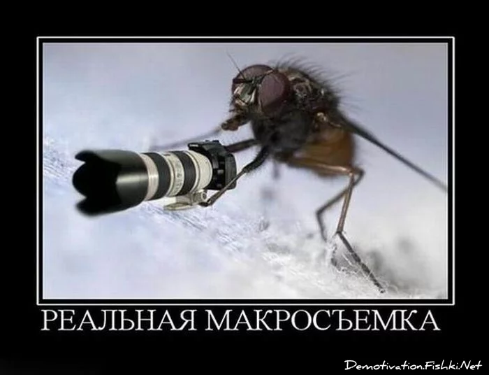 demotivatori130.webp