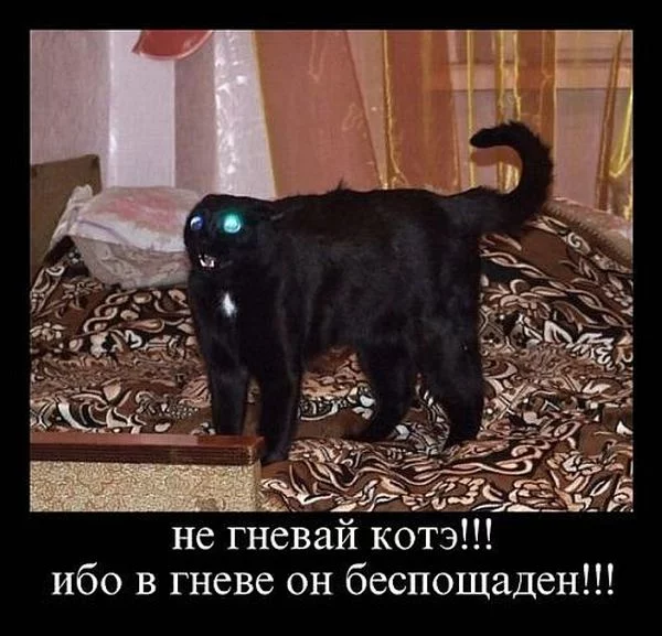 demotivatori_59.webp