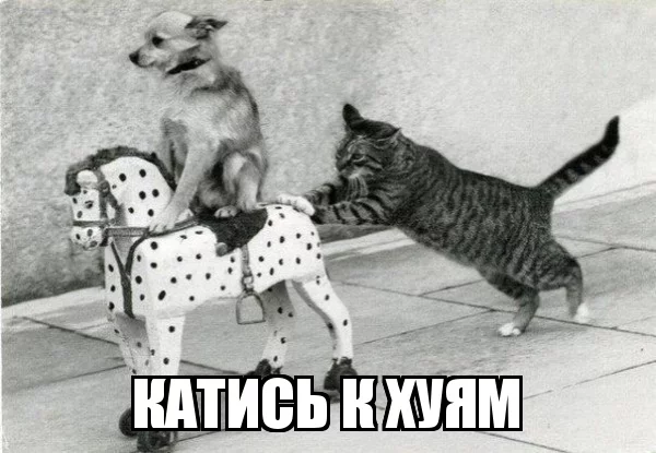 demotivatorium_ru__22792.webp