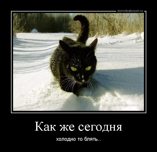 demotivatorium_ru_kak_je_segodnja_38828.webp