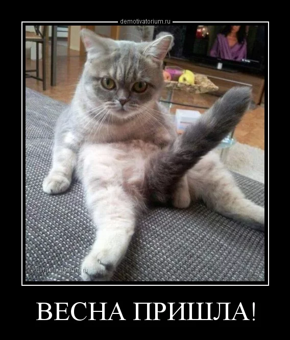 demotivatorium_ru_vesna_prishla_45890.webp