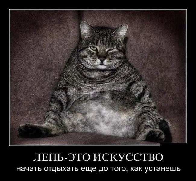 demotivatory_06.webp