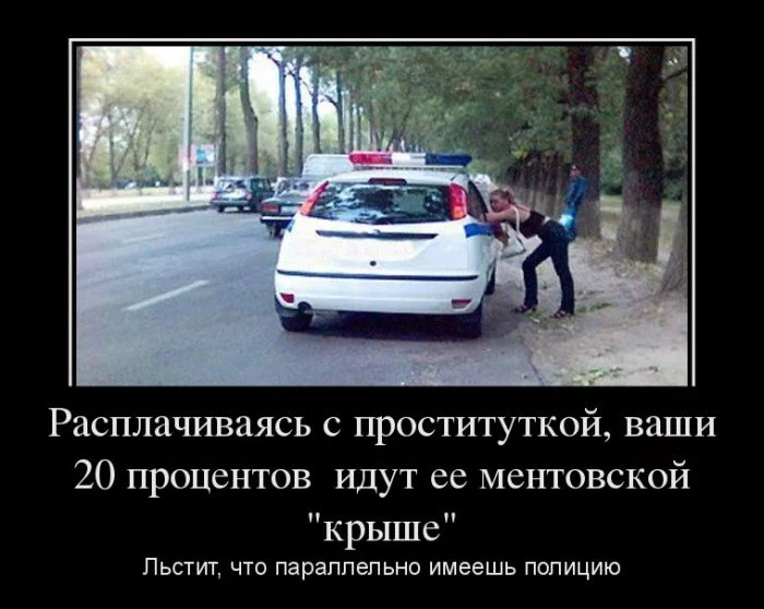 demotivatory_07.webp
