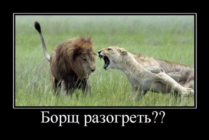 demotivatory_141.webp