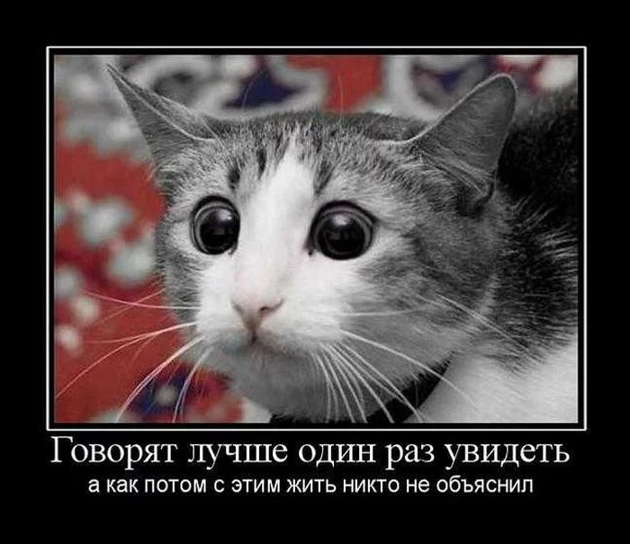 demotivatory_157.webp