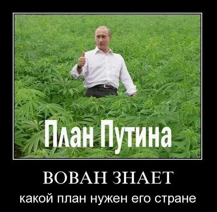 demotivatory_17.webp