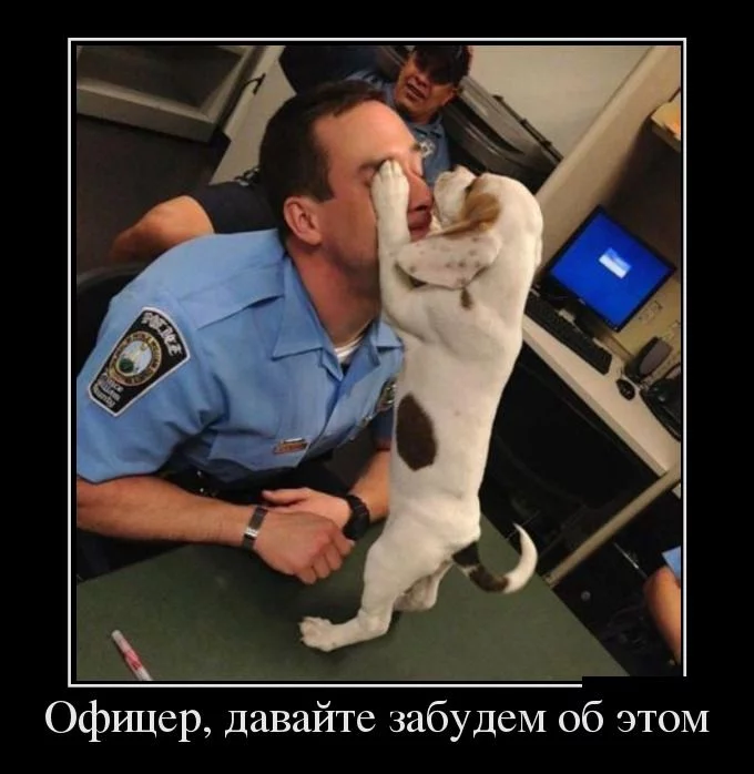 demotivatory_24.webp