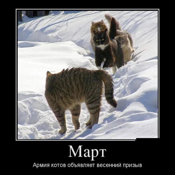 demotiwE.webp