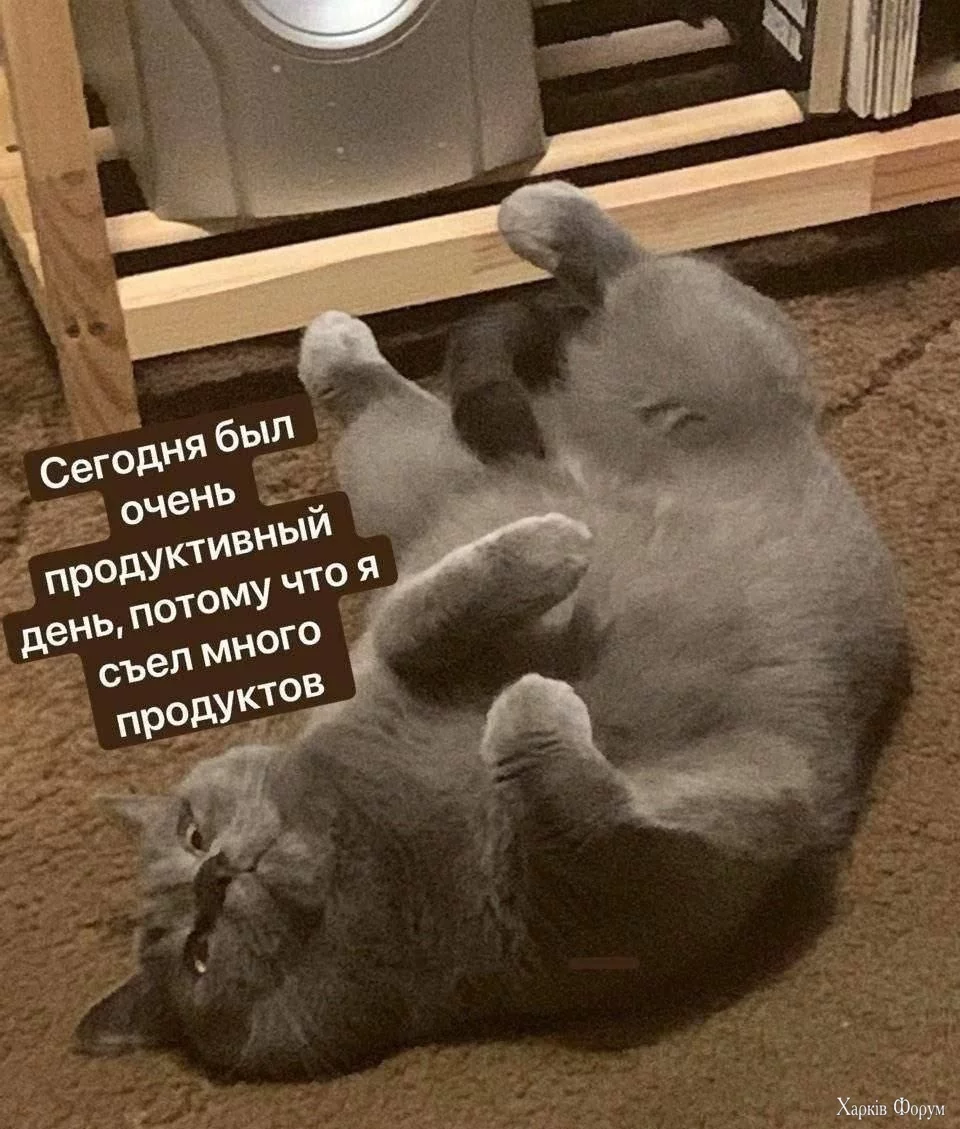  день.webp