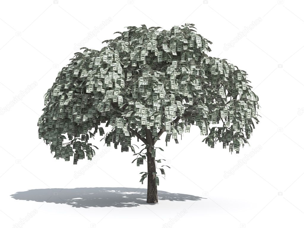 depositphotos_2423014-Money-tree-of-US-dollars.jpg