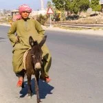 depositphotos_79372298-Man-and-the-donkey.webp