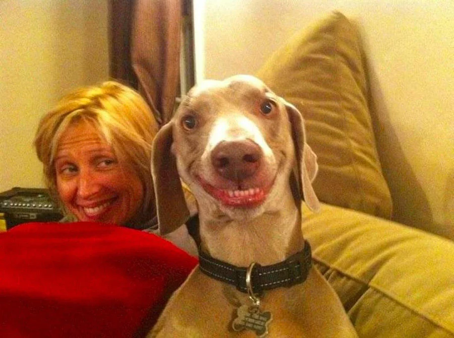 derpy12.webp